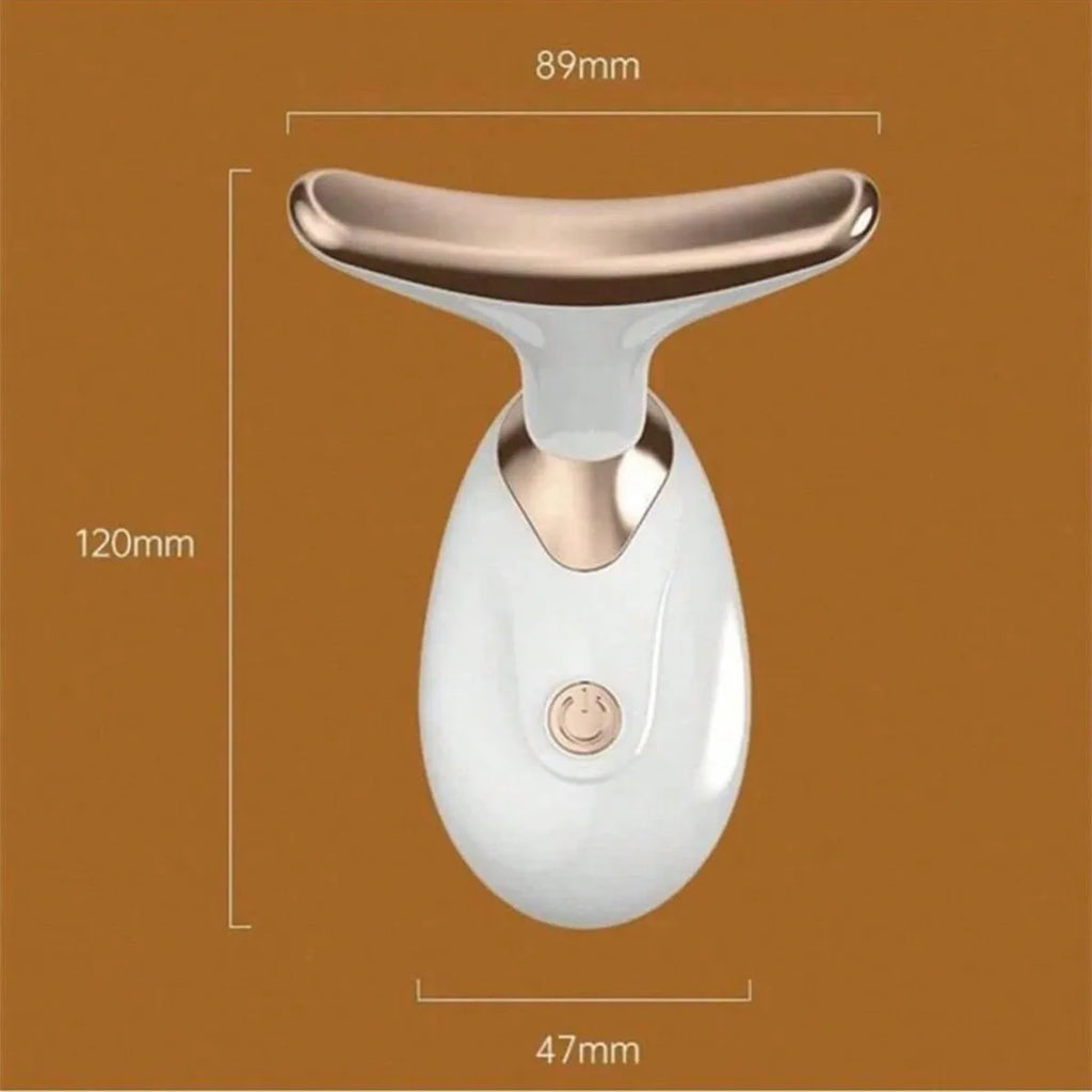 Sculpteur de Visage